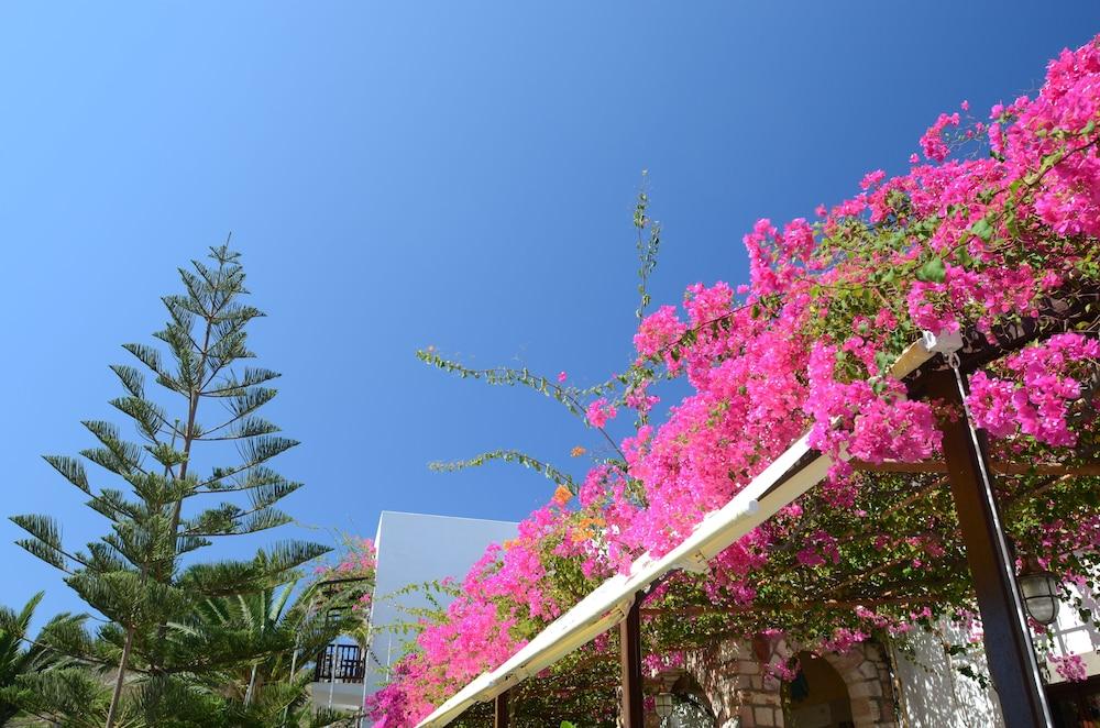 Asteri Hotel Skala  Exterior photo